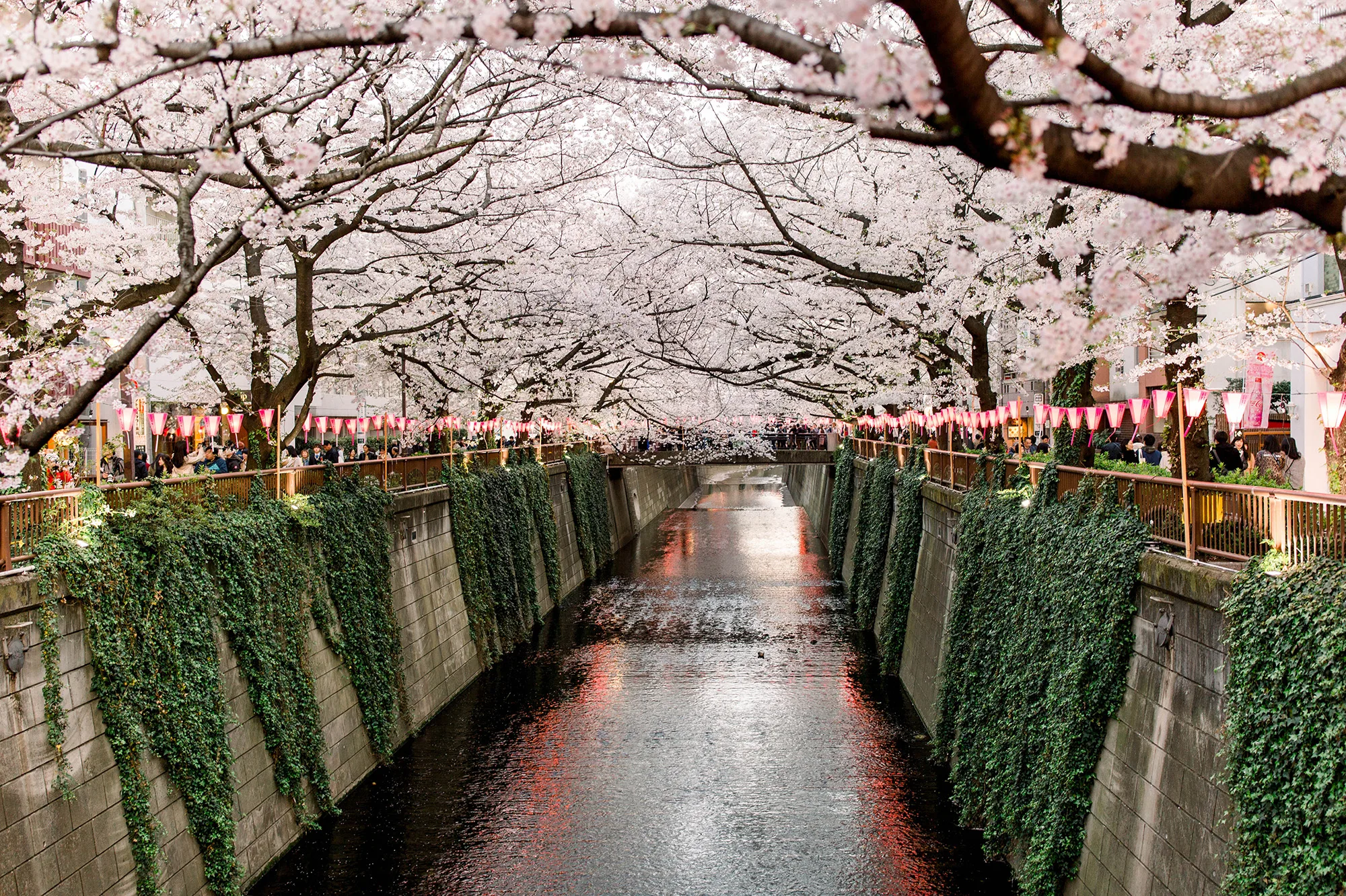 Tips for effective Japanese SEO strategy thumbnail
