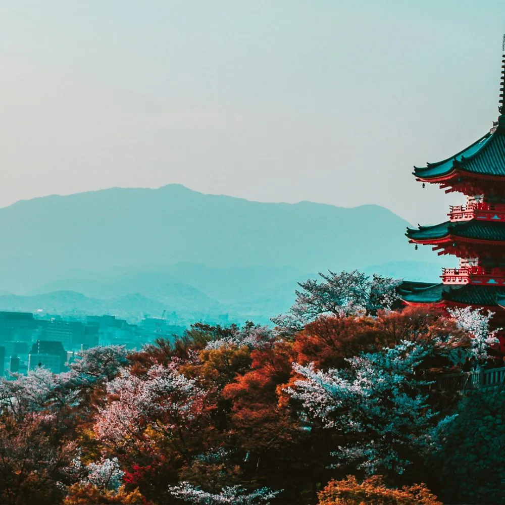 kyoto_japan_seo